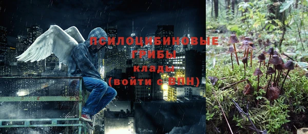 соль ск Новокубанск