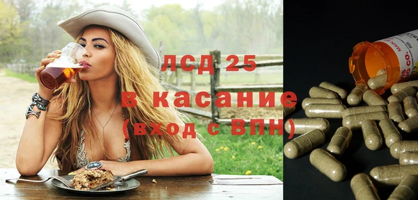 ГАЛЛЮЦИНОГЕННЫЕ ГРИБЫ Абаза