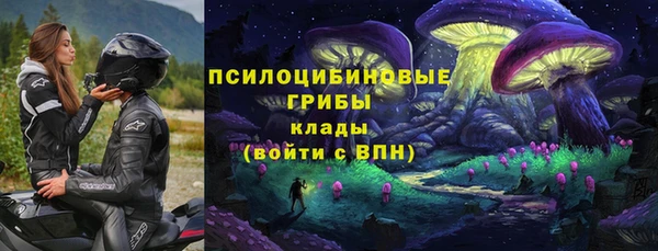 МДПВ Алексин