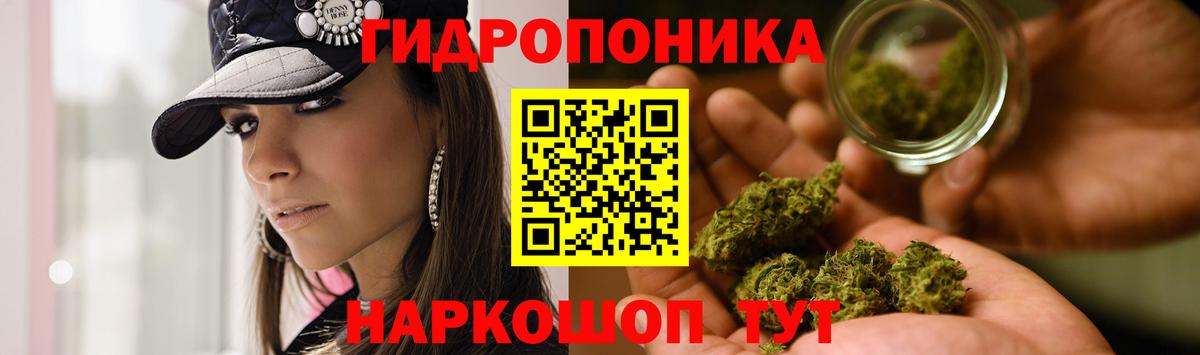 Конопля Bruce Banner  Вход с VPN  Новоуральск  Канабис индика  Марихуана марихуана 
